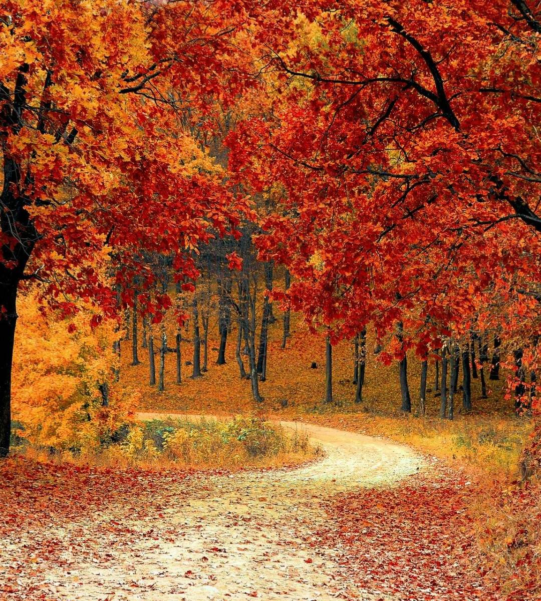 road-1072821_1920